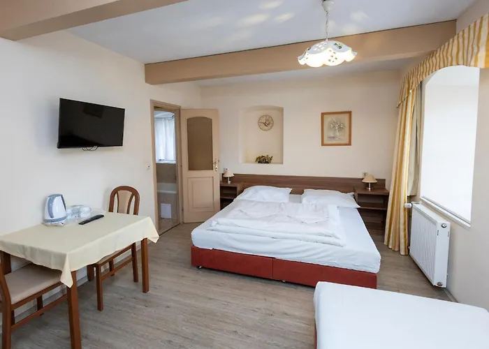 Guest house Centrum 3*